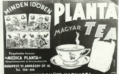 Papa and the planta tea